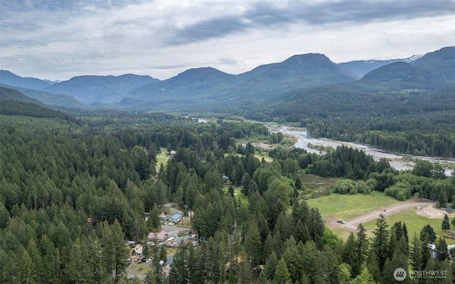100 Aspen Ln, Packwood, WA 98361 - view of mountain background with a heavily wooded area