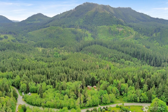 view of mountain background with a heavily wooded area