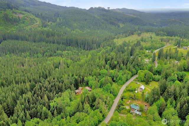 aerial overview of property's location with a forest and mountains