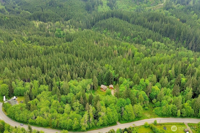 aerial view of a forest
