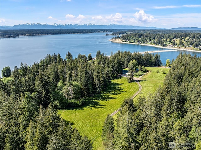 18617 S Vaughn Rd NW, Vaughn, WA 98394 - aerial view of a large body of water and a forest