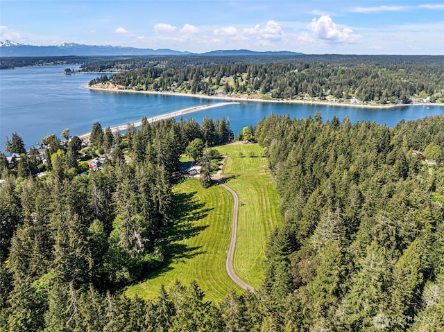 18617 S Vaughn Rd NW, Vaughn, WA 98394 - bird's eye view of a heavily wooded area and a large body of water