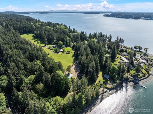 18617 S Vaughn Rd NW, Vaughn, WA 98394 - aerial view of property's location featuring a large body of water and a forest
