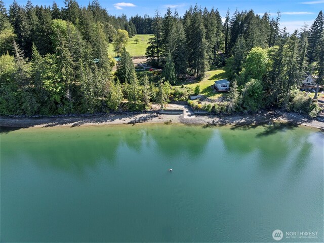 18617 S Vaughn Rd NW, Vaughn, WA 98394 - water view with a forest