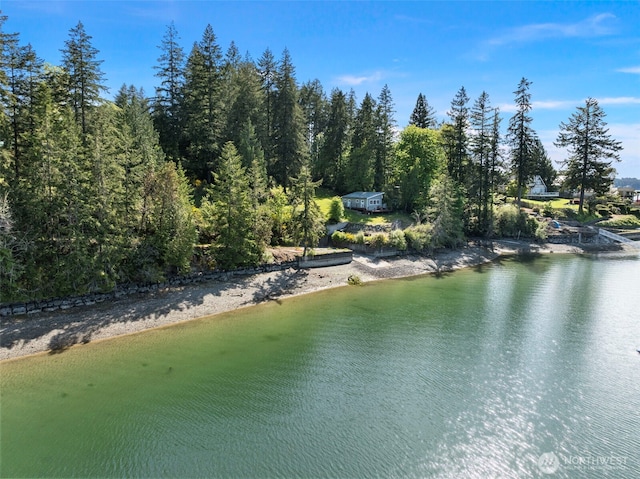18617 S Vaughn Rd NW, Vaughn, WA 98394 - water view