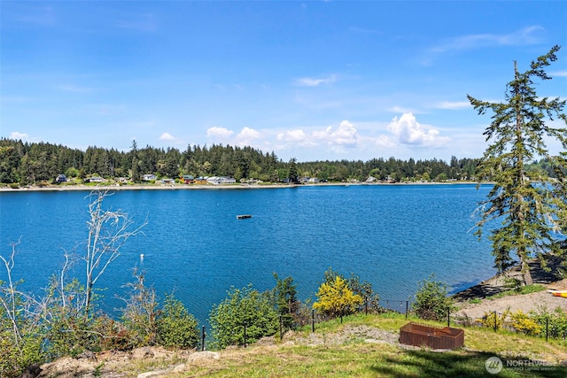 18617 S Vaughn Rd NW, Vaughn, WA 98394 - water view with a heavily wooded area