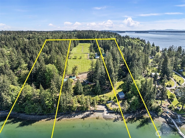 18617 S Vaughn Rd NW, Vaughn, WA 98394 - aerial overview of property's location featuring property parcel outlined, a large body of water, and a heavily wooded area