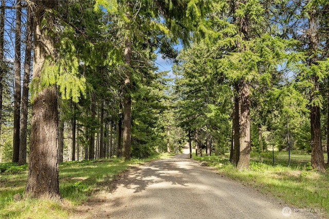 1101 Emerick Rd, Cle Elum, WA 98922 - view of dirt / gravel road featuring a forest view