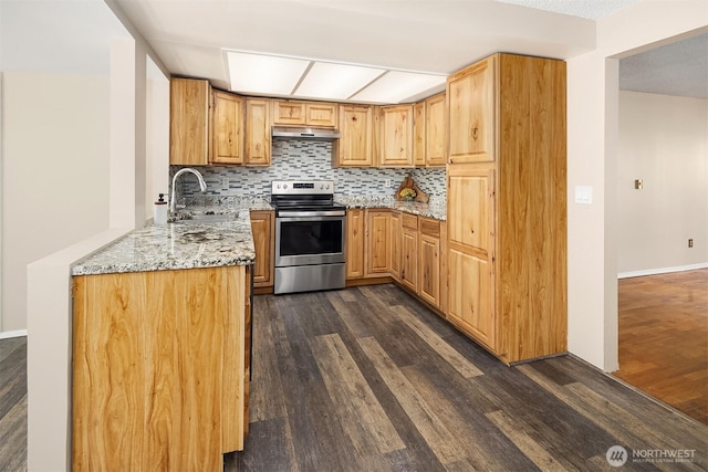 kitchen with stainless steel electric range oven, a sink, under cabinet range hood, dark wood finished floors, and light stone counters