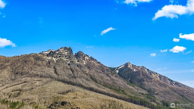 18242 643rd Ave NE Unit 54, 53, Baring, WA 98224 - view of mountain background
