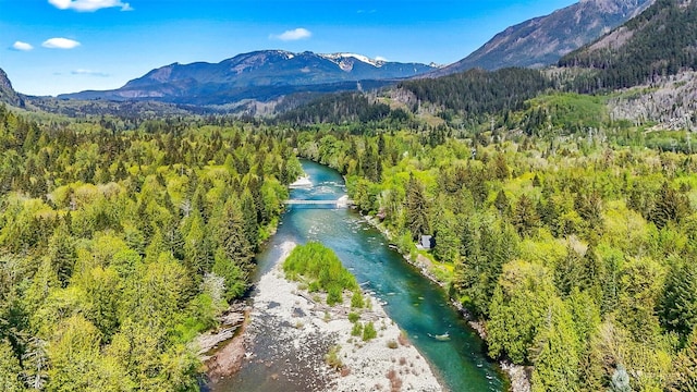 18242 643rd Ave NE Unit 54, 53, Baring, WA 98224 - drone / aerial view of mountains and a heavily wooded area