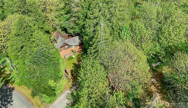 18242 643rd Ave NE Unit 54, 53, Baring, WA 98224 - view of property location