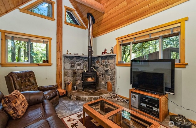 18242 643rd Ave NE Unit 54, 53, Baring, WA 98224 - living room featuring a wood stove and wood ceiling