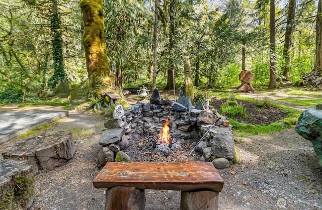 18242 643rd Ave NE Unit 54, 53, Baring, WA 98224 - view of community featuring an outdoor fire pit and a forest view