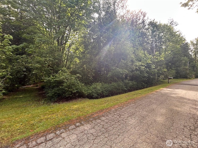 18242 643rd Ave NE Unit 54, 53, Baring, WA 98224 - view of asphalt street featuring a forest view