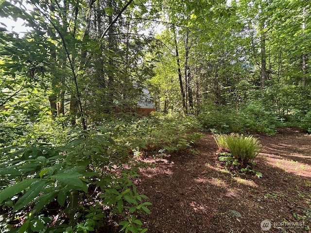 18242 643rd Ave NE Unit 54, 53, Baring, WA 98224 - view of wooded area