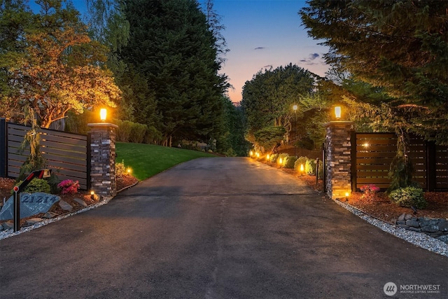 view of asphalt driveway with street lighting