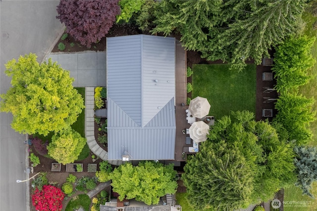 drone / aerial view
