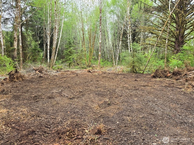 0NKA N River Rd, Cosmopolis, WA 98537