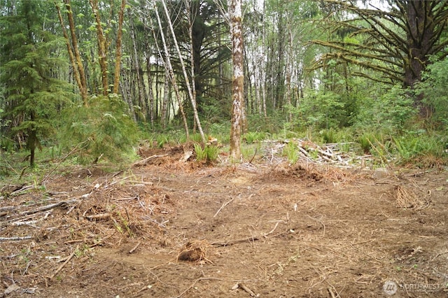 0NKA N River Rd, Cosmopolis, WA 98537