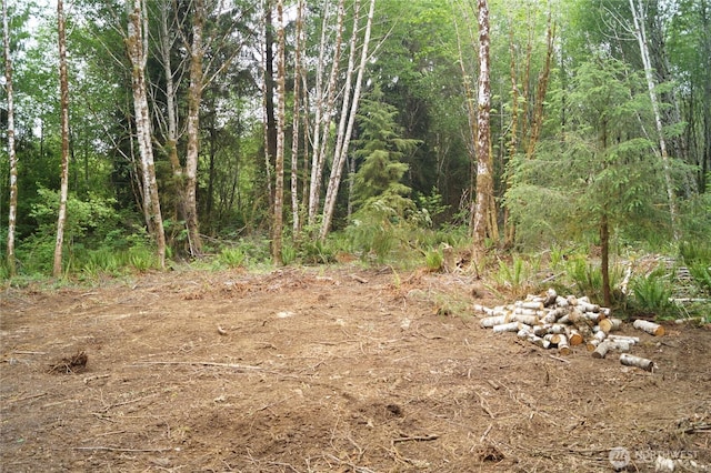 0NKA N River Rd, Cosmopolis, WA 98537