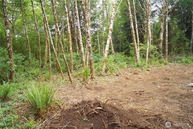 0NKA N River Rd, Cosmopolis, WA 98537