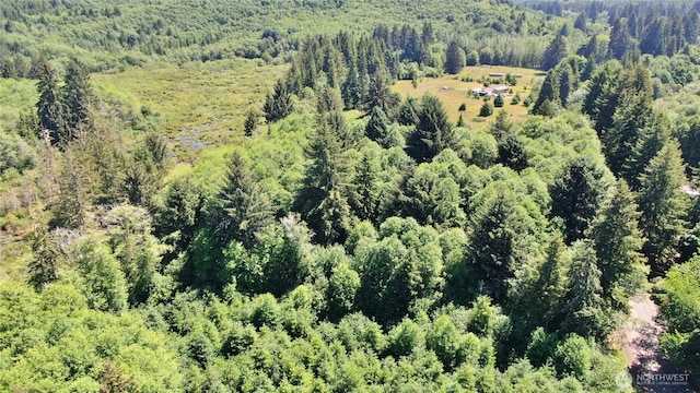 0NKA N River Rd, Cosmopolis, WA 98537