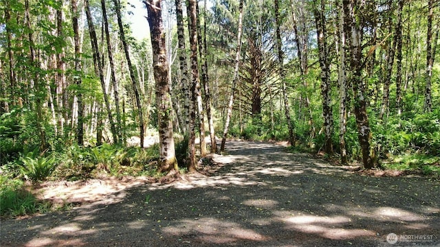 0NKA N River Rd, Cosmopolis, WA 98537