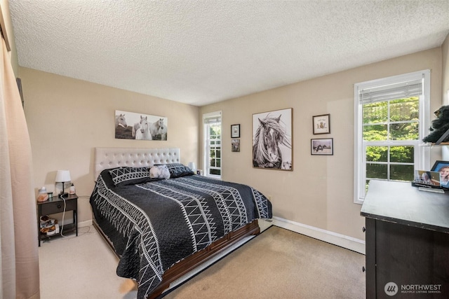 5418 Nootka Loop, Blaine, WA 98230 - carpeted bedroom with baseboards, multiple windows, and a textured ceiling