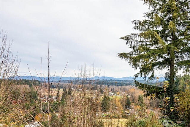 13409 27th St SE, Snohomish, WA 98290 - photo 17