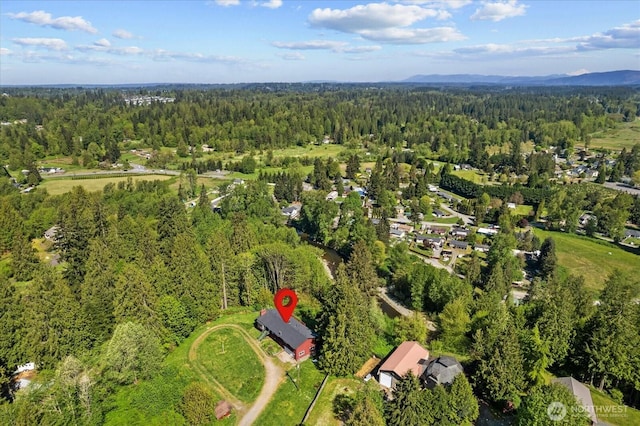 13409 27th St SE, Snohomish, WA 98290 - photo 34