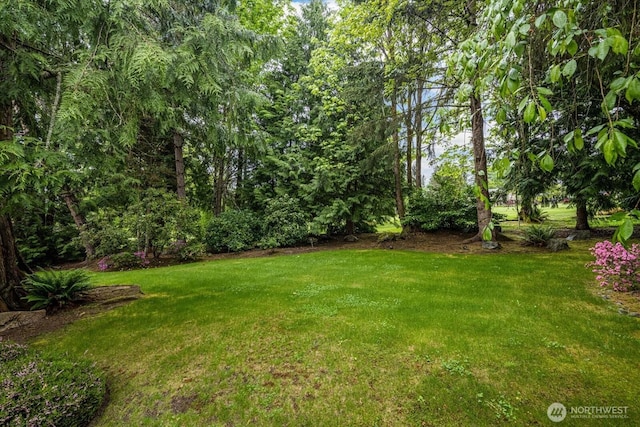 14210 207th Pl NE, Woodinville, WA 98077 - photo 35