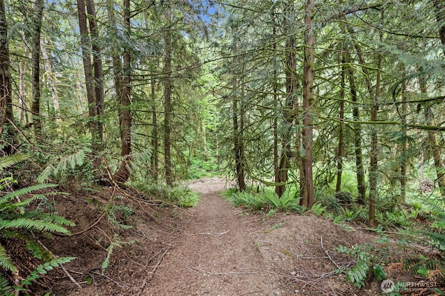 view of wooded area