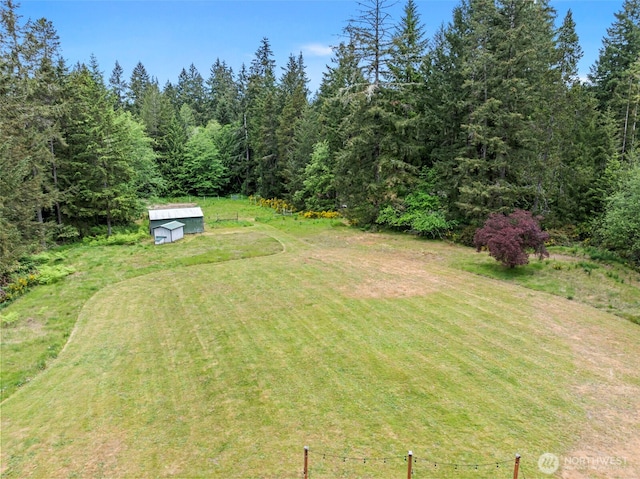 view of grassy yard with an outbuilding and a storage unit