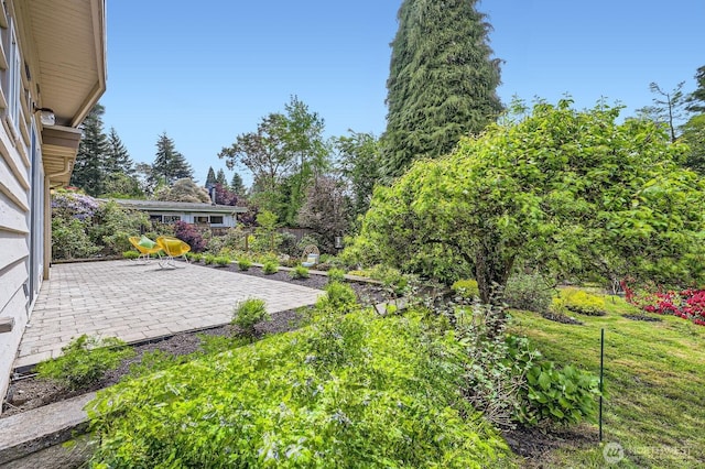 2545 NE 204th St, Shoreline, WA 98155 - view of yard with a patio area