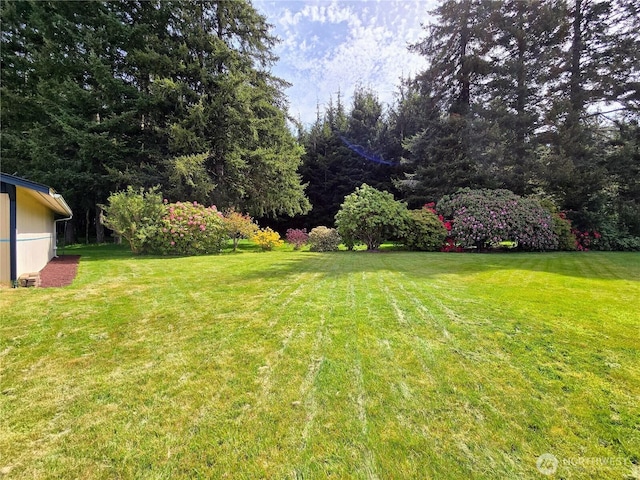 57 Clemons Rd Unit 12, Montesano, WA 98563 - photo 2