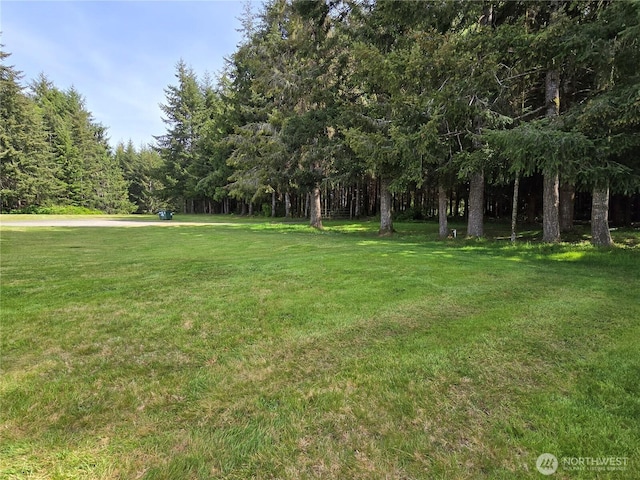 57 Clemons Rd Unit 12, Montesano, WA 98563 - photo 30