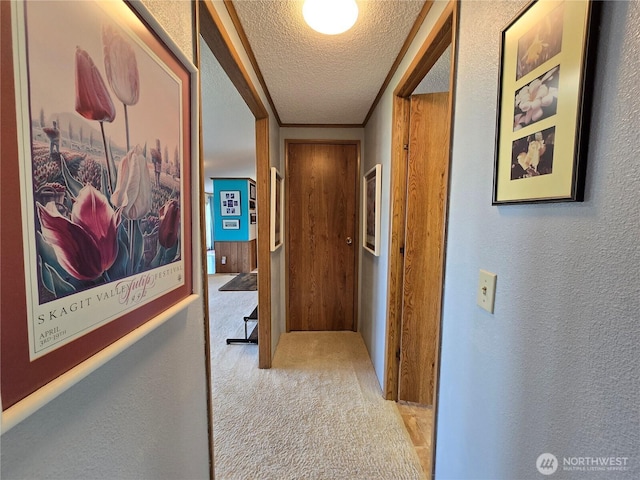 57 Clemons Rd Unit 12, Montesano, WA 98563 - photo 27