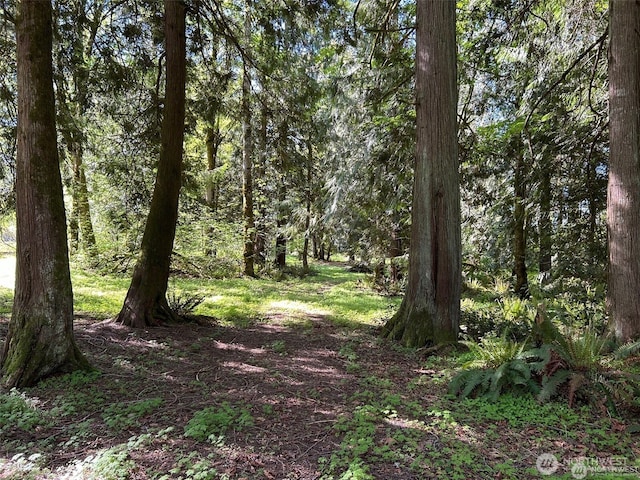 0NKA SE 47th St, Snoqualmie, WA 98065 - photo 1