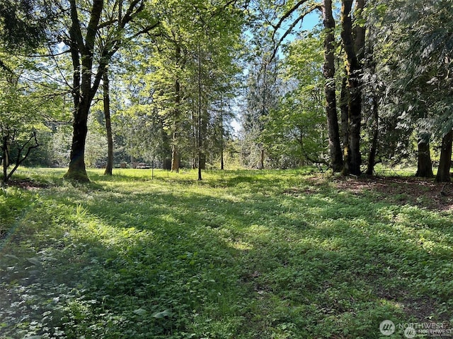 0NKA SE 47th St, Snoqualmie, WA 98065 - photo 2