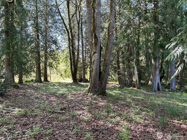 0NKA SE 47th St, Snoqualmie, WA 98065 - photo 4