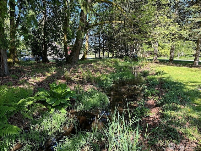 0NKA SE 47th St, Snoqualmie, WA 98065 - photo 7