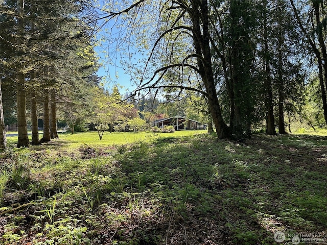 0NKA SE 47th St, Snoqualmie, WA 98065 - photo 10