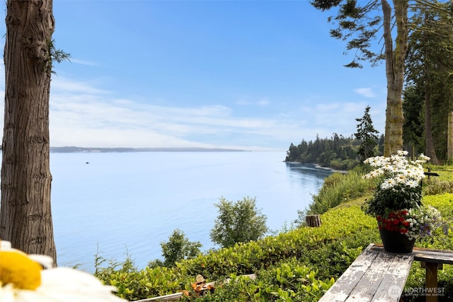 water view