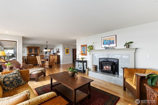 living room featuring light wood-style floors and a fireplace