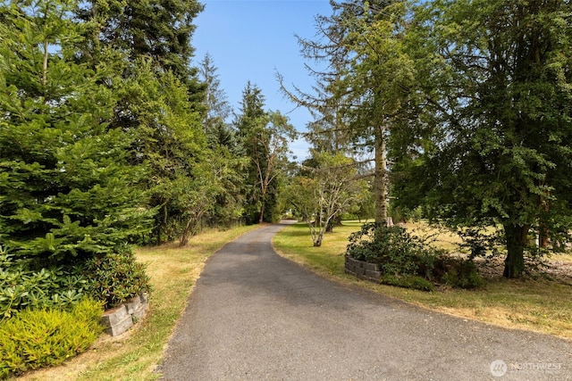 view of road