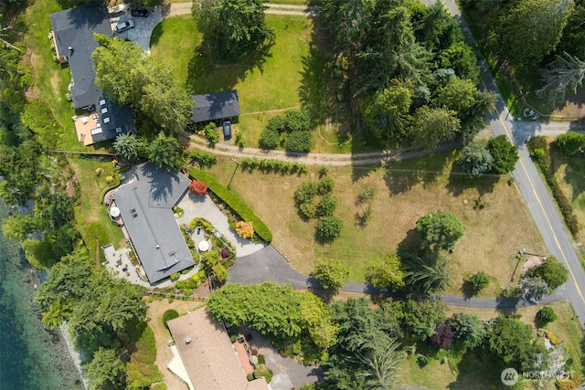 drone / aerial view