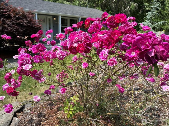 5922 43rd Ave NW, Gig Harbor, WA 98335 - photo 37