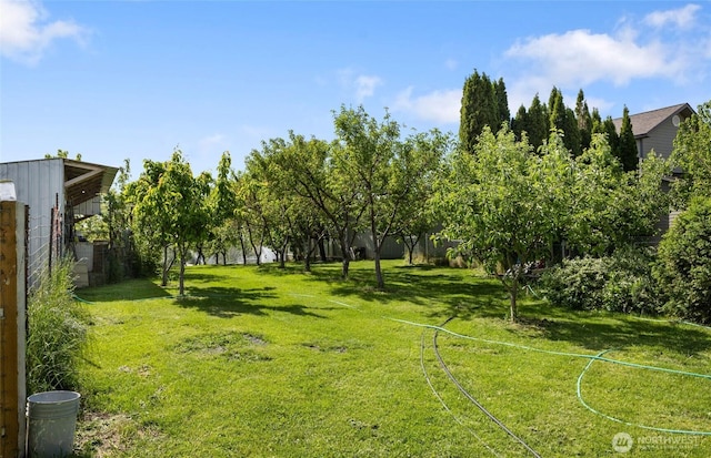 20501 Delta Rd NW, Soap Lake, WA 98851 - view of green lawn