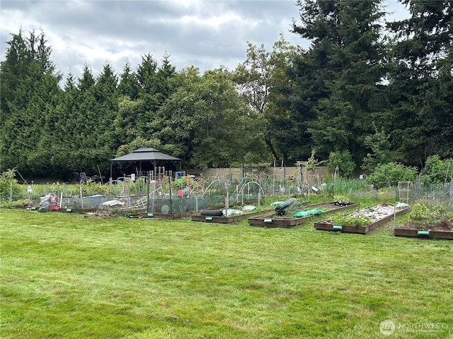 view of yard with a vegetable garden